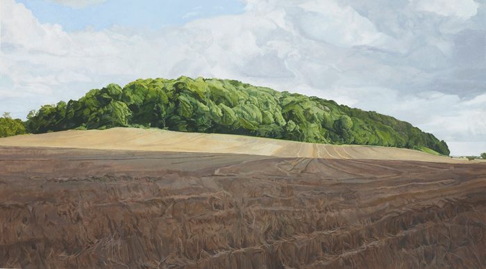 Shadow STUART BRISLEY, Shadow, 2012